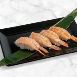 Nigiri Shrimp